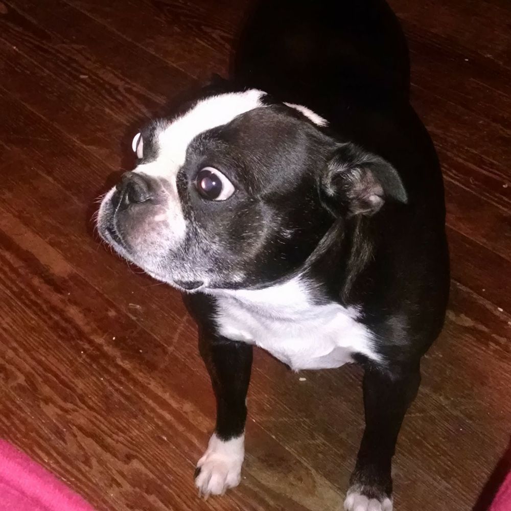 Meet your Posher, Ellie