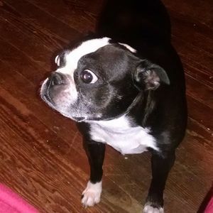 Meet your Posher, Ellie