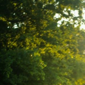 Meet your Posher, Tania