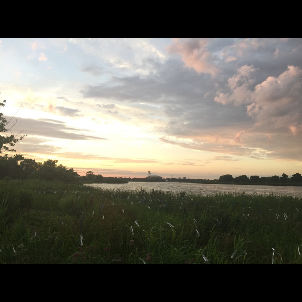 Meet your Posher, King