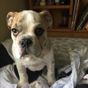 Meet your Posher, Evan