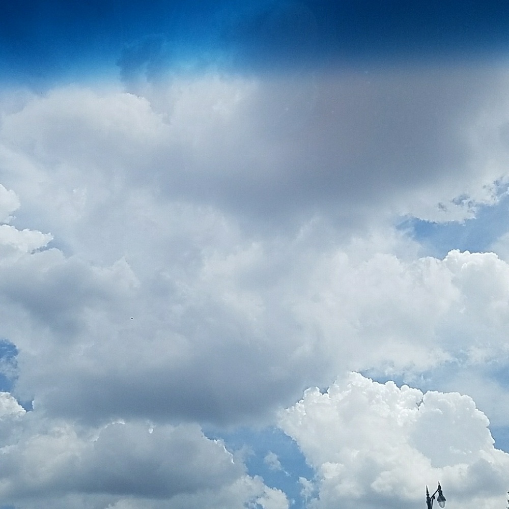 Meet your Posher, Claudia