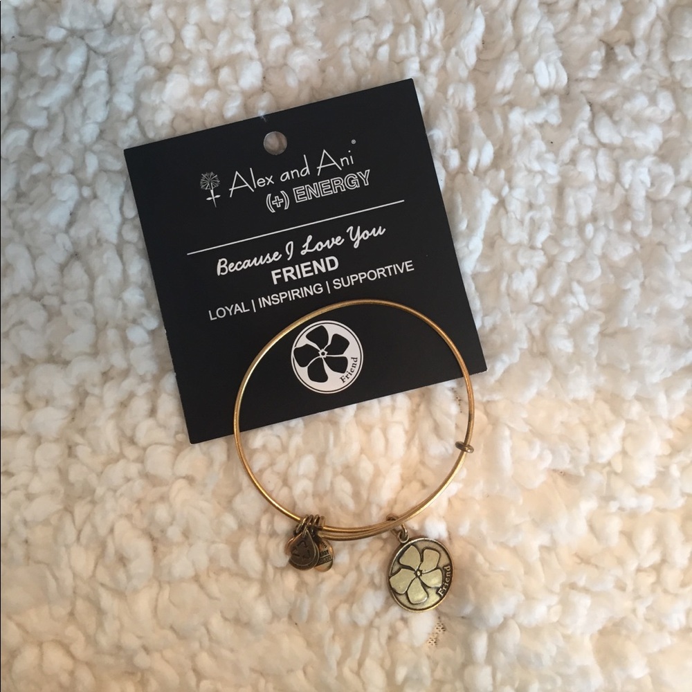 Alex and Ani Gold Friend Bracelet