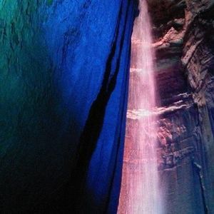 Meet your Posher, Bernard