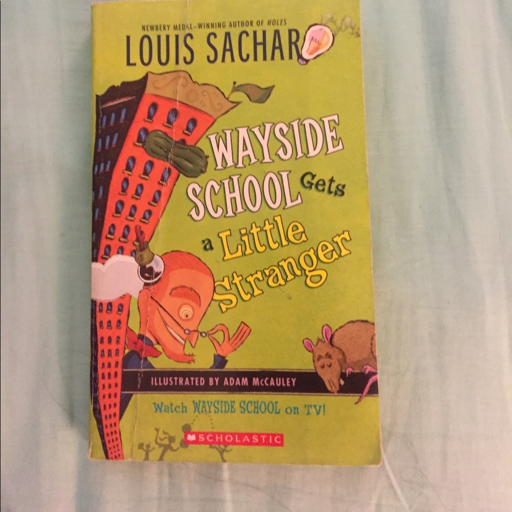 Wayside school books