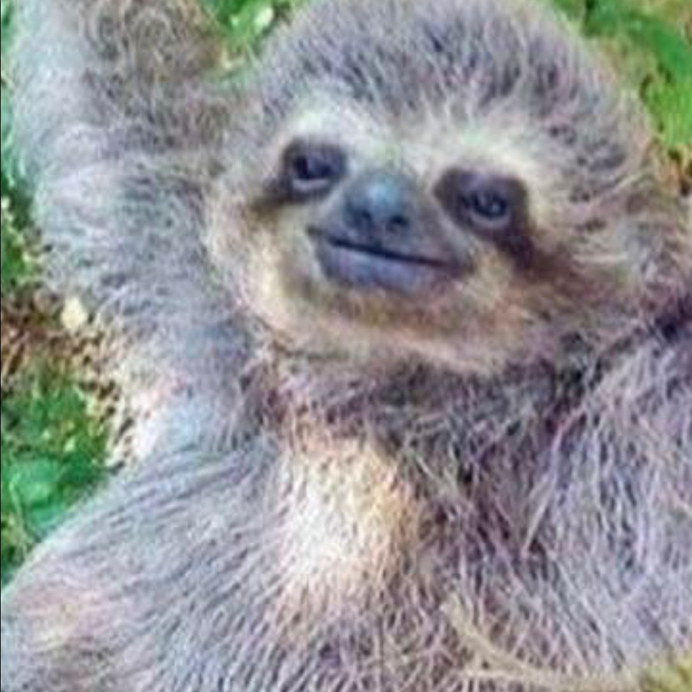 Meet your Posher, Christopher