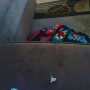 Meet your Posher, Stella