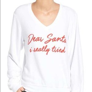 Wildfox Baggy Beach Jumper