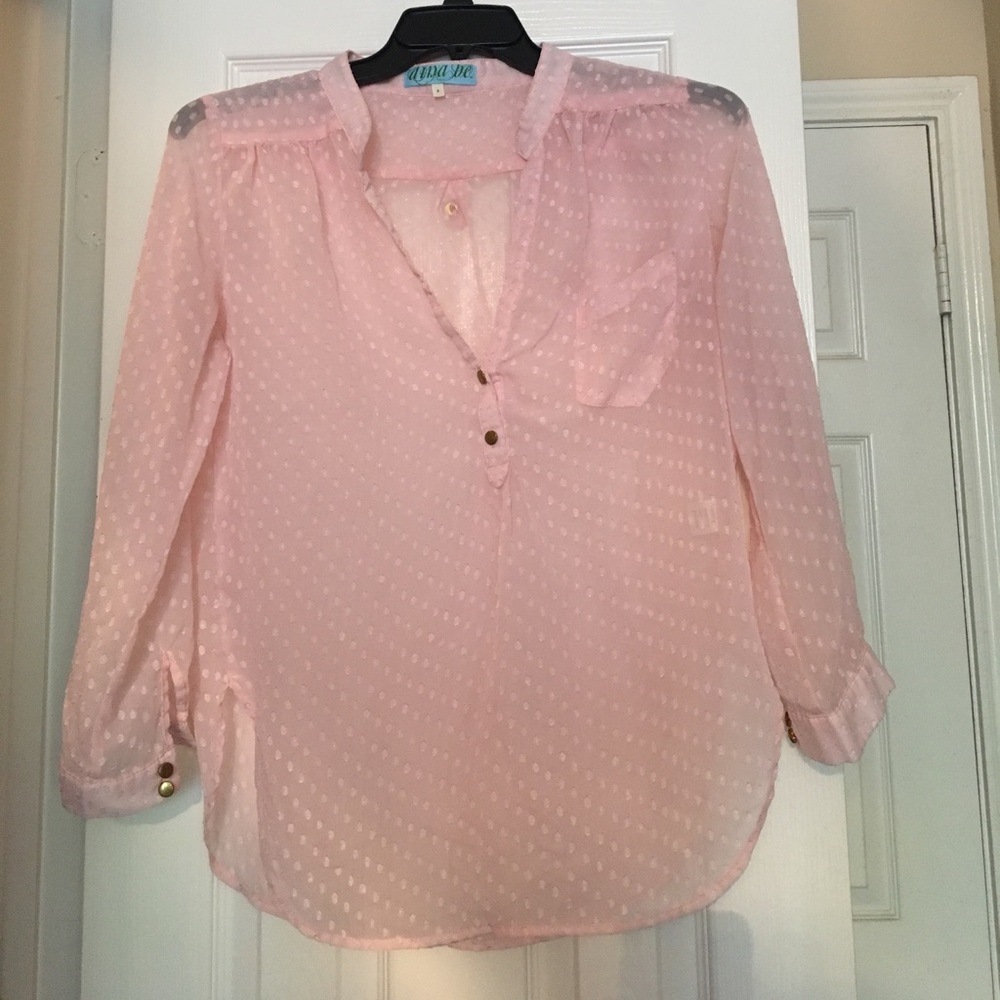 Francesca's Collection Sheer Rose Blouse