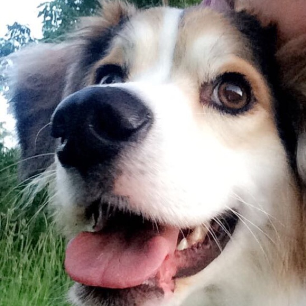 Meet your Posher, Karoline