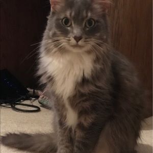 Meet your Posher, Jane