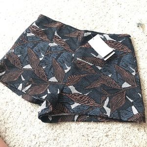 NEW Zara high waisted shorts