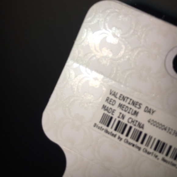 charming charlie's brand new necklace - Picture 4 of 4