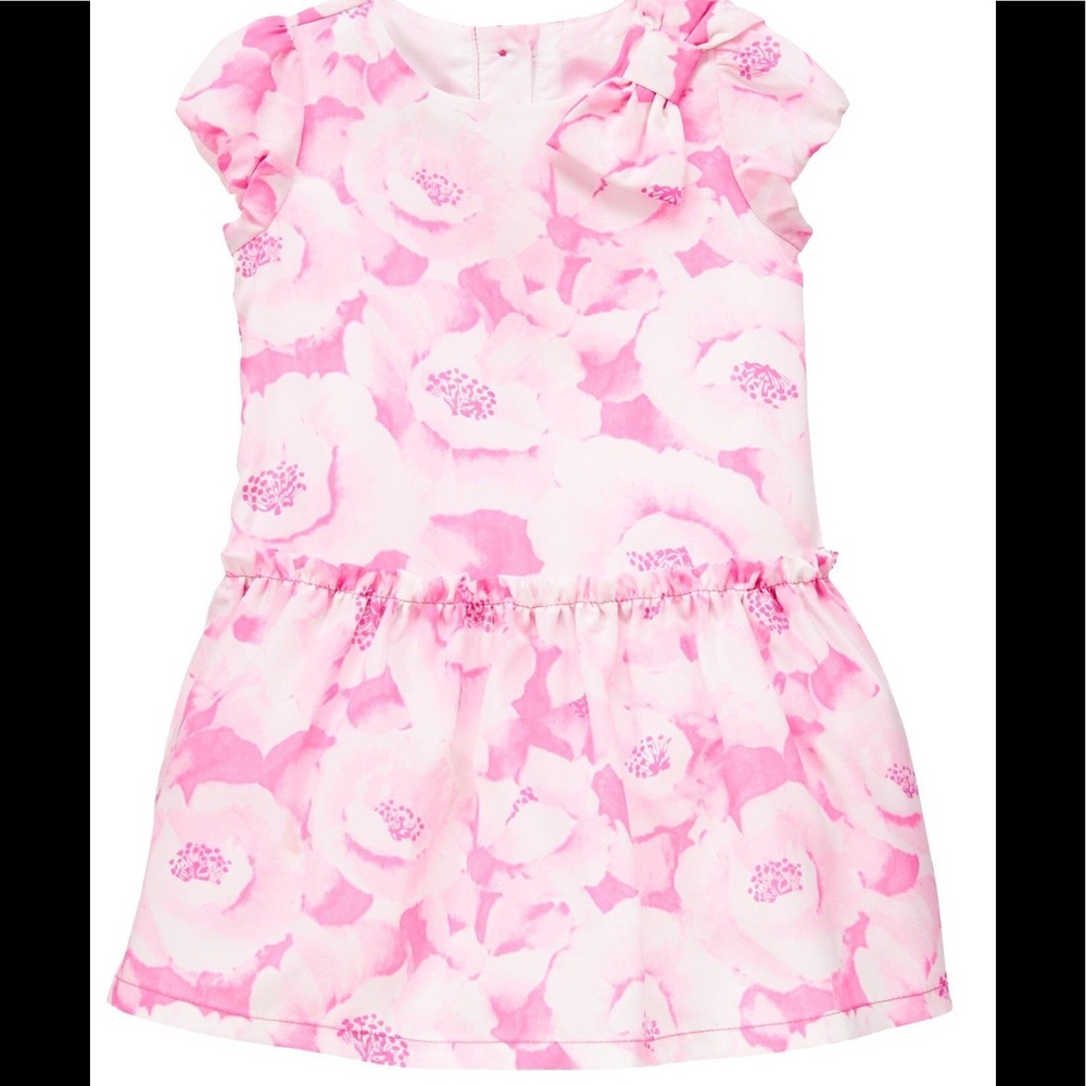 Gymboree En Pointe Pink Floral Bow Dress.