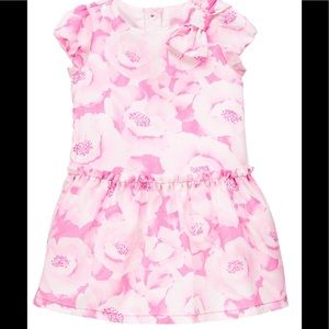 Gymboree En Pointe Pink Floral Bow Dress.