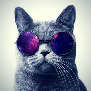 Meet your Posher, Irvin