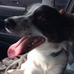 Meet your Posher, Jack