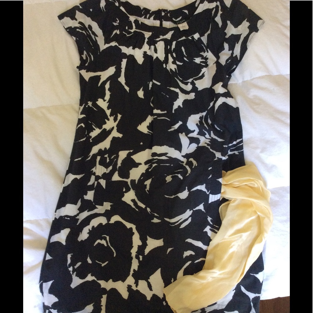 Price Drop! JCREW dress, B&W, size 6, THE dress.
