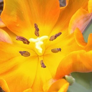 Meet your Posher, Christopher