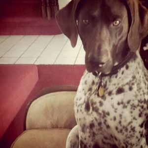 Meet your Posher, Andrea