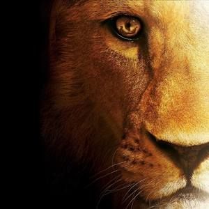 Meet your Posher, Flex