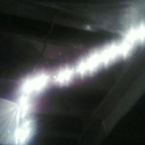 Meet your Posher, Bridgette