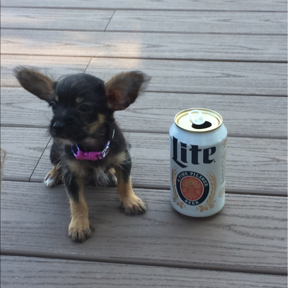 Meet your Posher, Lisa