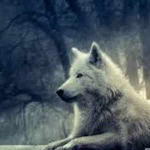 Meet your Posher, Lyn