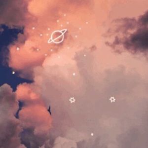 Meet your Posher, Avery