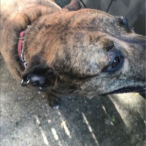 Meet your Posher, Shawn