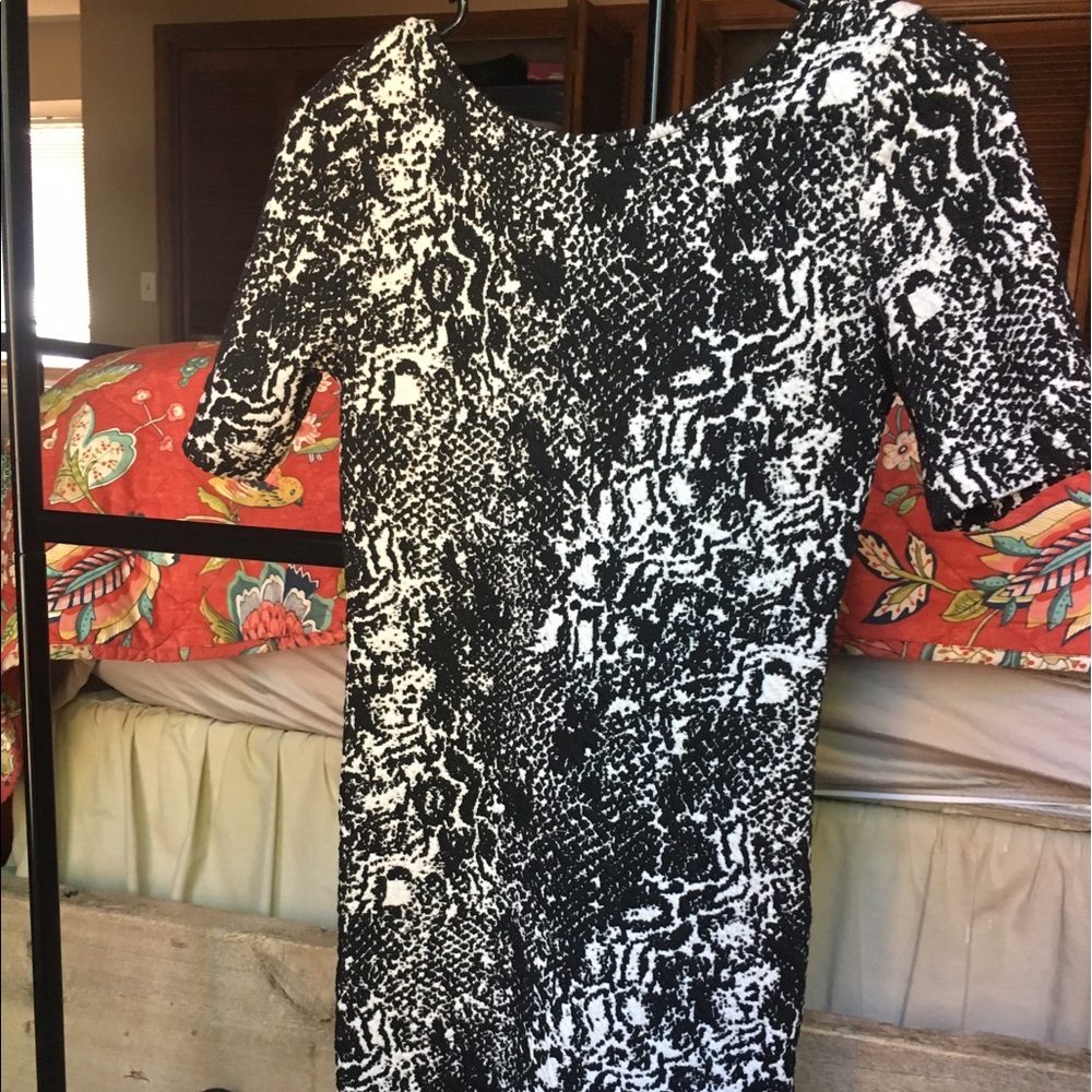 Divided BodyCon Dress