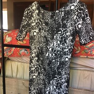 Divided BodyCon Dress