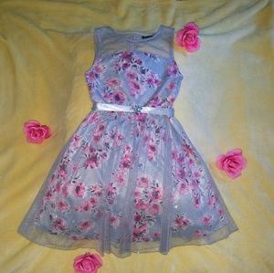 LIKE NEW  Lily Rose Floral Silver Shimmer Dress