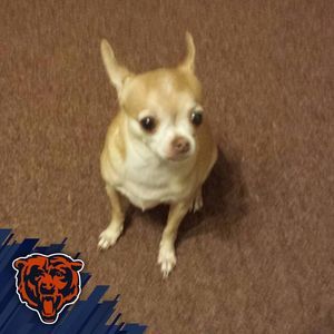 Meet your Posher, Robyn