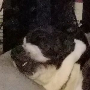 Meet your Posher, Cheryl