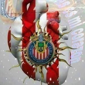 Meet your Posher, Chalo