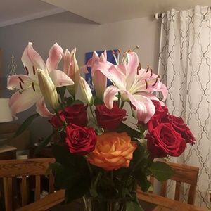 Meet your Posher, Sherri