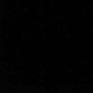 Meet your Posher, Audrey