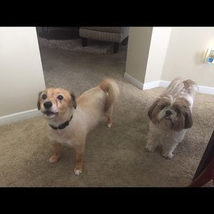 Meet your Posher, Kelley