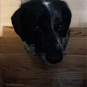 Meet your Posher, Alys