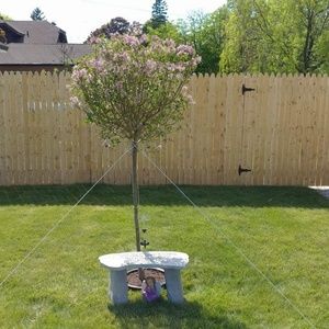 Meet your Posher, Ken