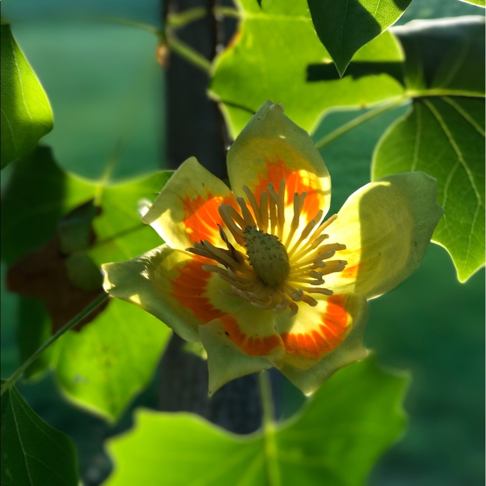 Meet your Posher, Maddy