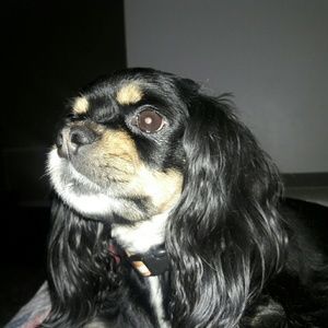 Meet your Posher, Renae