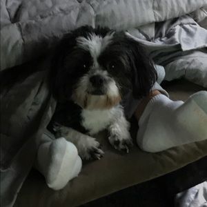 Meet your Posher, Anne