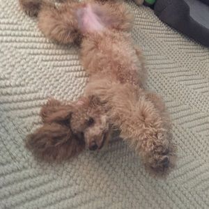 Meet your Posher, Racquel