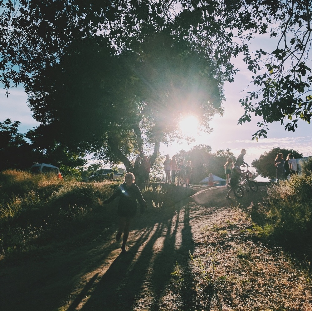 Meet your Posher, Twigy