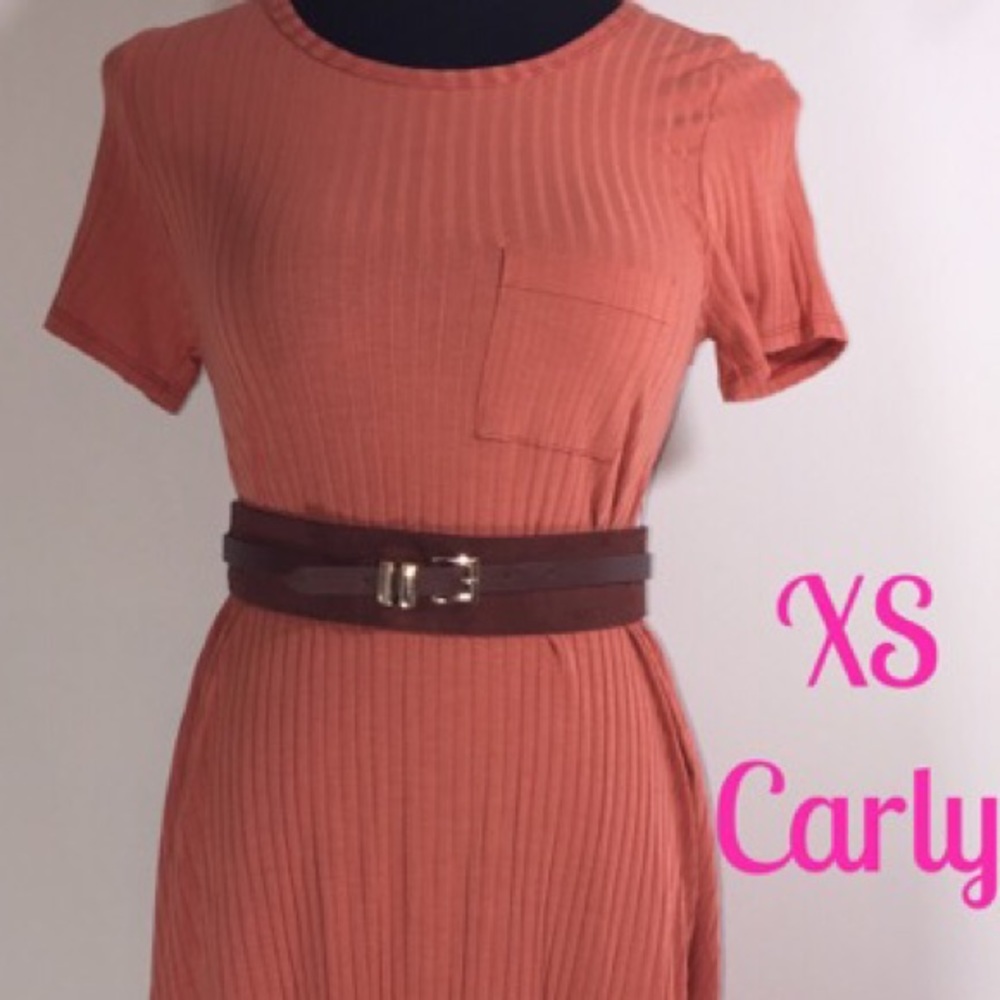 LuLaRoe XS Carly Dress NWT LAST CHANCE