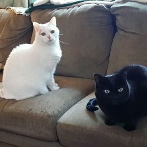 Meet your Posher, Debbie