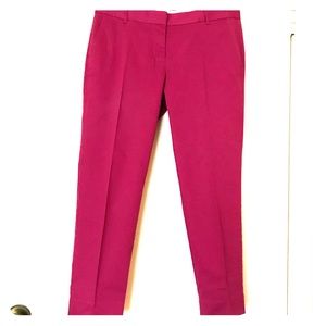 ✨J. Crew ✨Women's Skimmer Pants 🆕