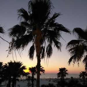 Meet your Posher, Sherry